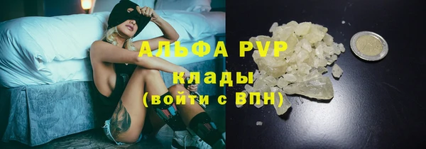 прущие грибы Арсеньев