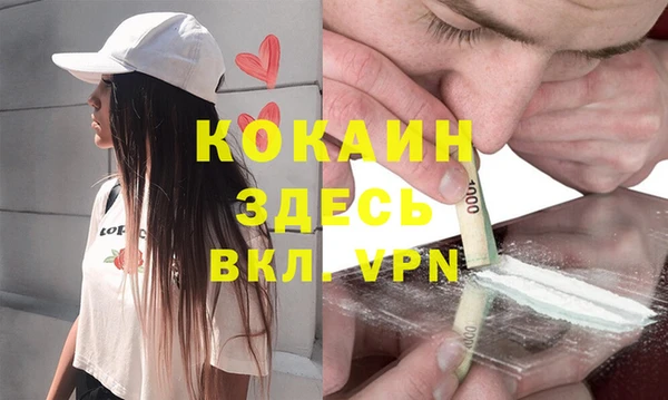 прущие грибы Арсеньев